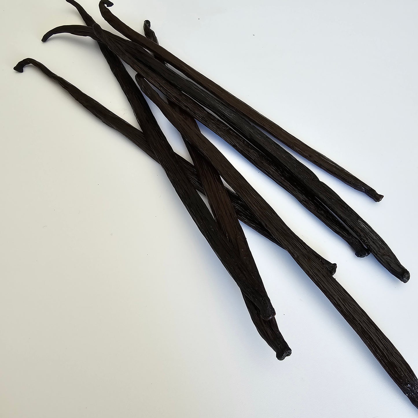 Philippines V. planifolia Vanilla Beans