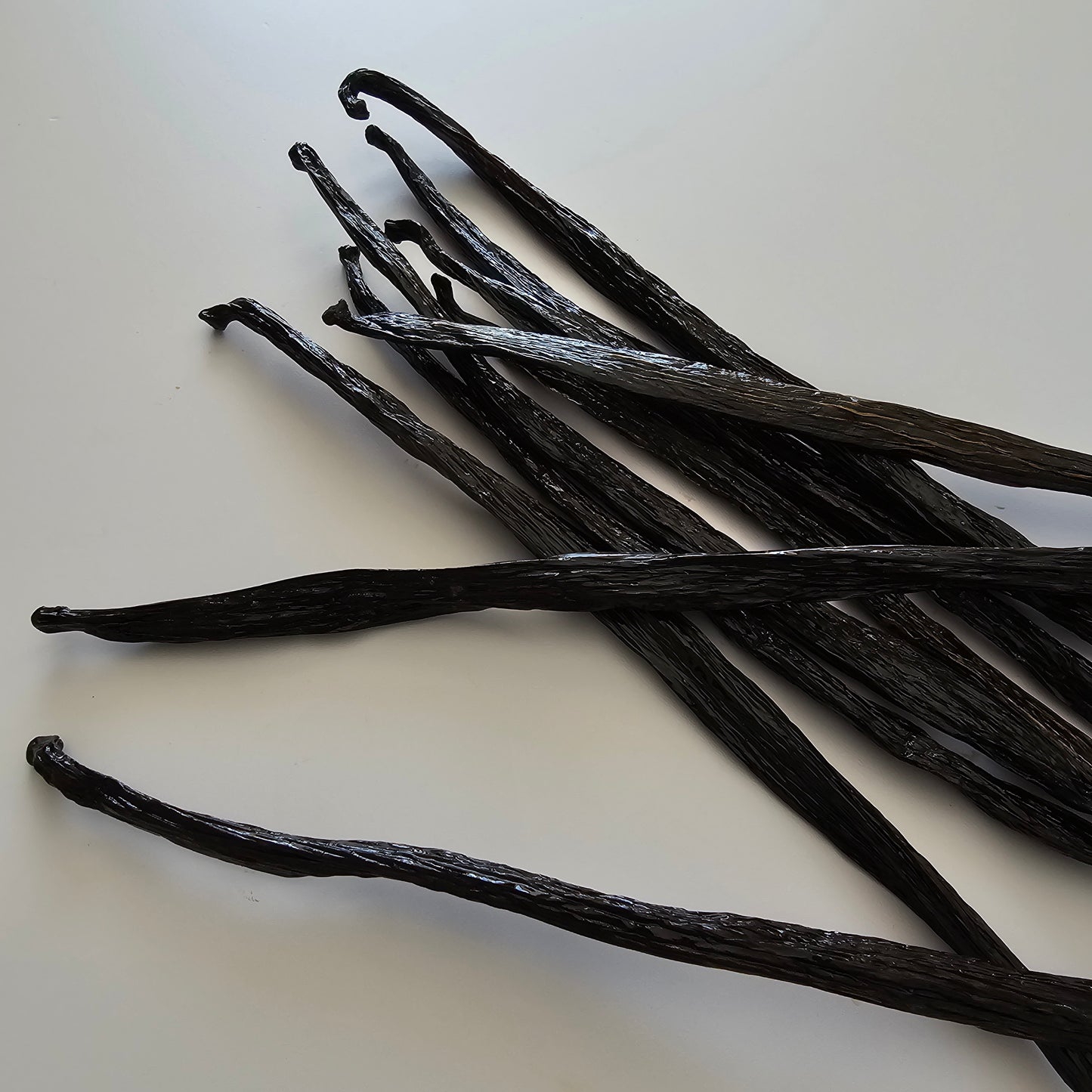 Chile V. tahitensis Vanilla Beans