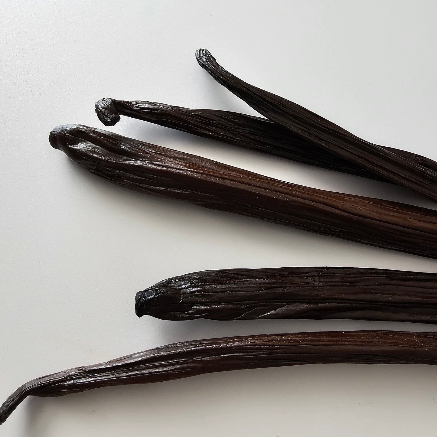 Malaysia V. tahitensis Vanilla Beans