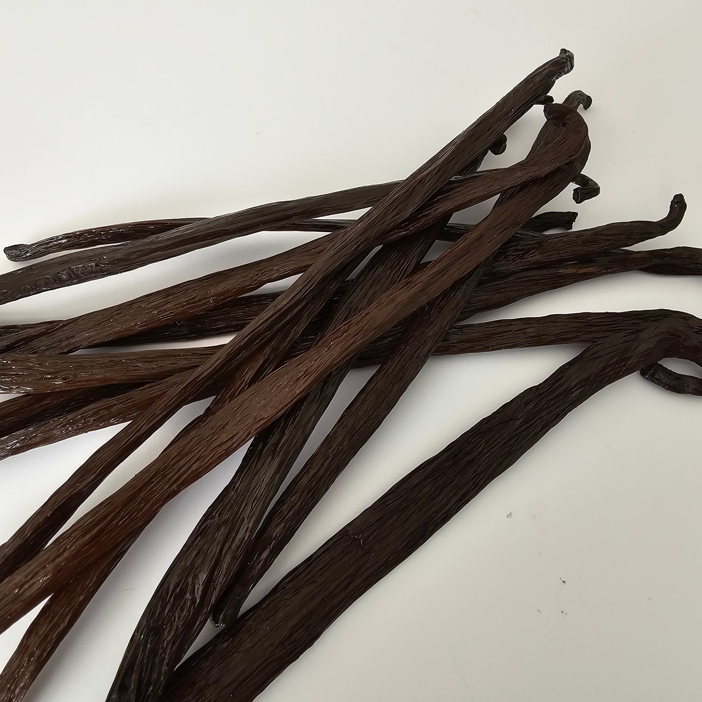 Guatemala V. planifolia Vanilla Beans