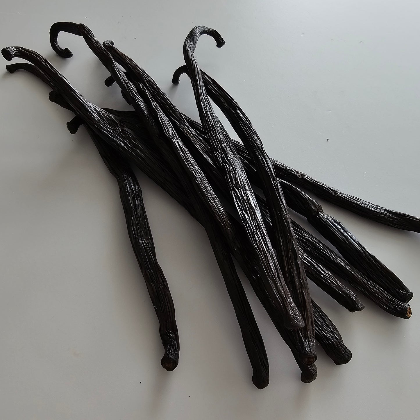 Ecuador V. planifolia Vanilla Beans