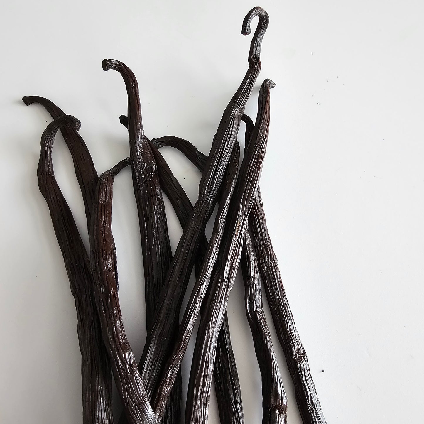 Ecuador V. planifolia Vanilla Beans