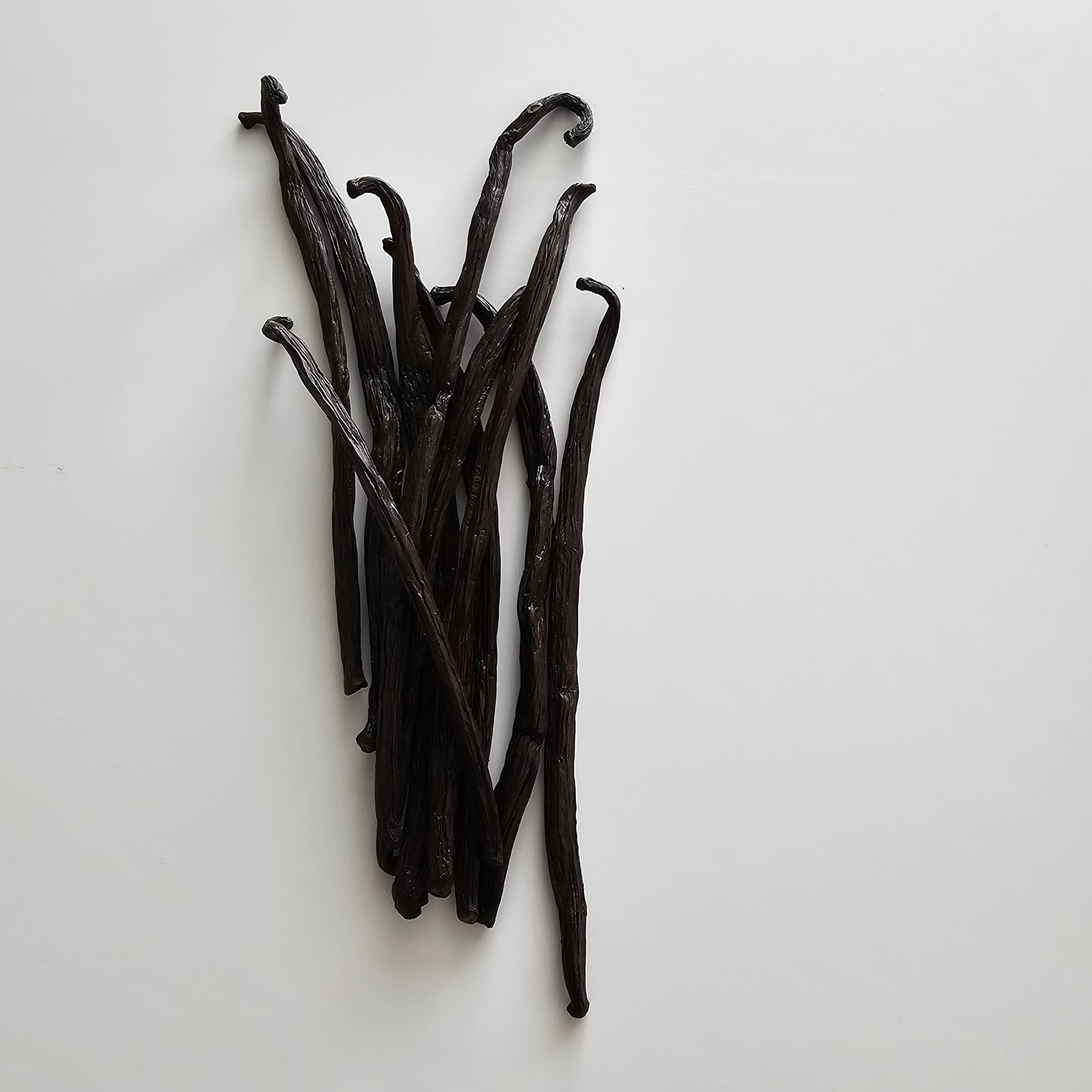 Ecuador V. planifolia Vanilla Beans