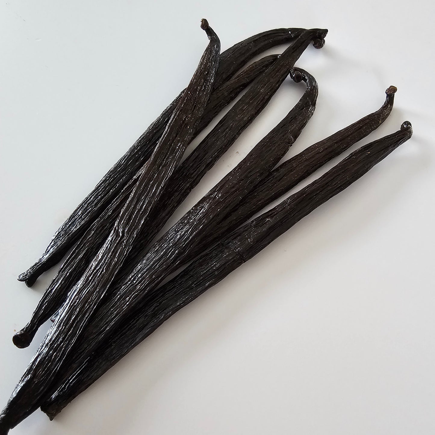 Colombia V. tahitensis Vanilla Beans