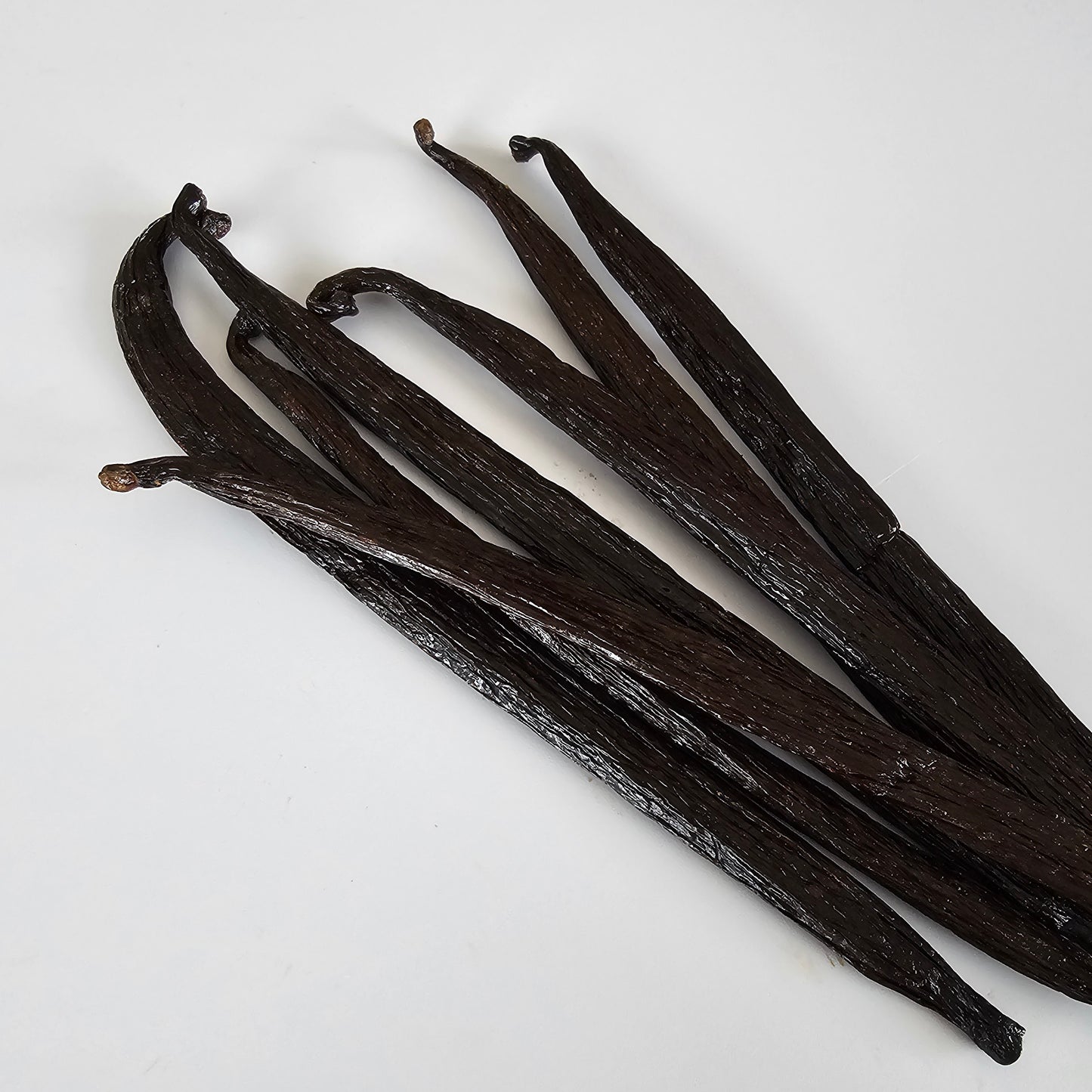 Colombia V. tahitensis Vanilla Beans