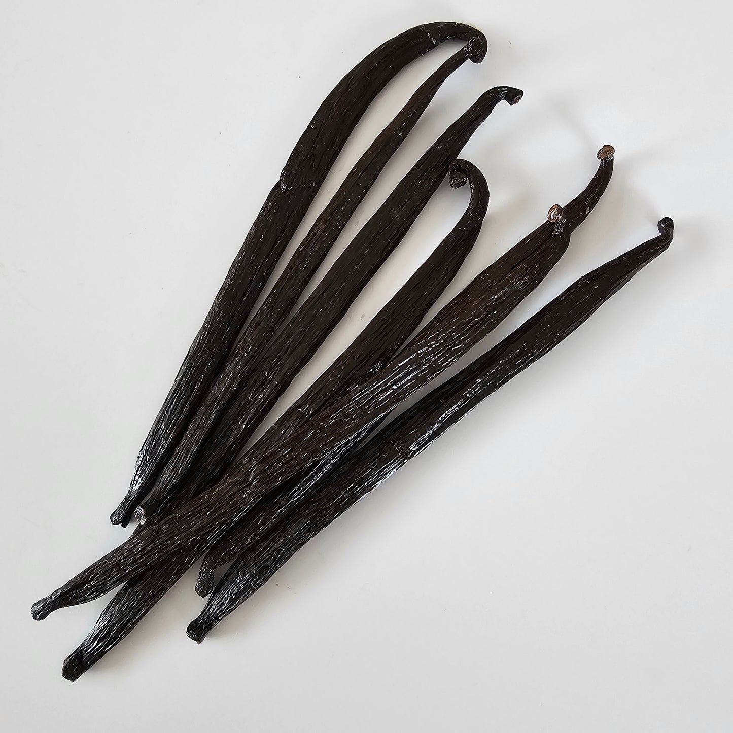 Colombia V. tahitensis Vanilla Beans