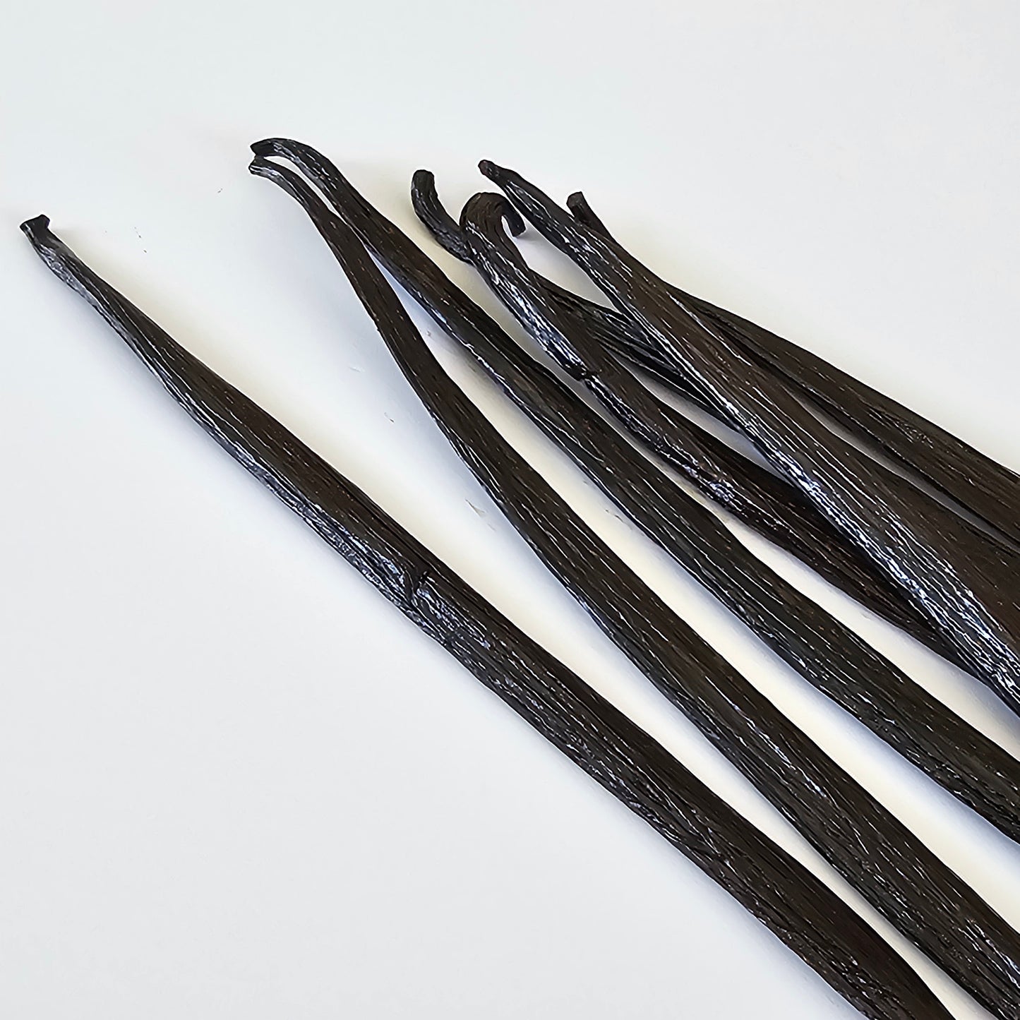 Panama V. tahitensis Vanilla Beans
