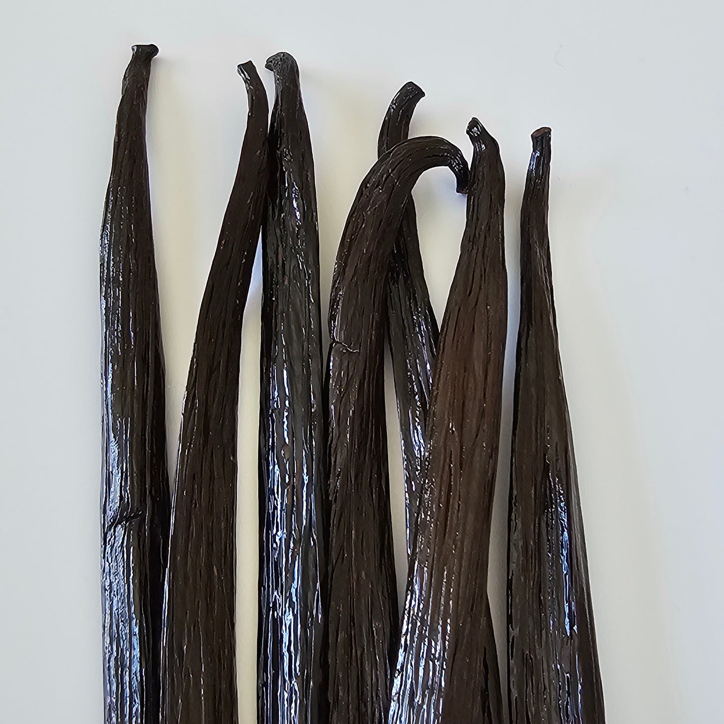 Panama V. tahitensis Vanilla Beans