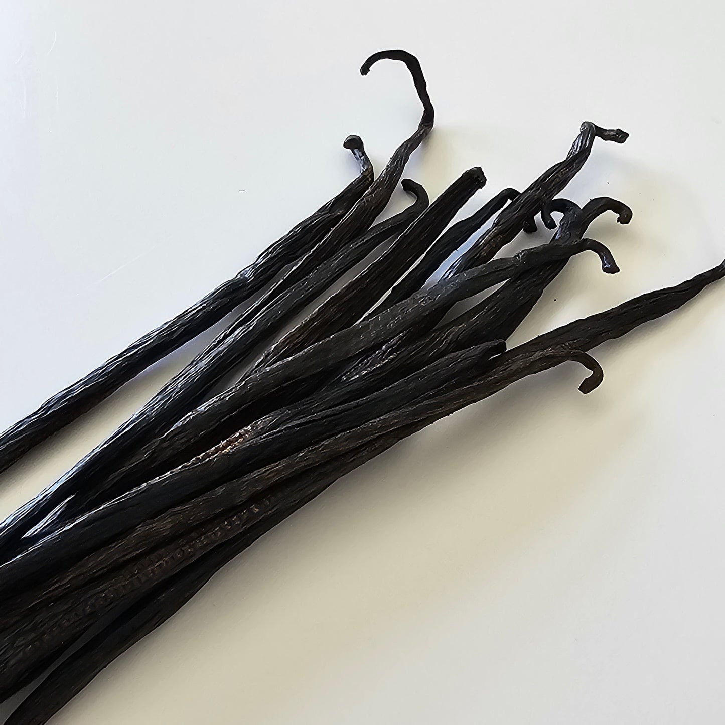 Mexico - Oaxaca V. planifolia Grade B Vanilla Beans