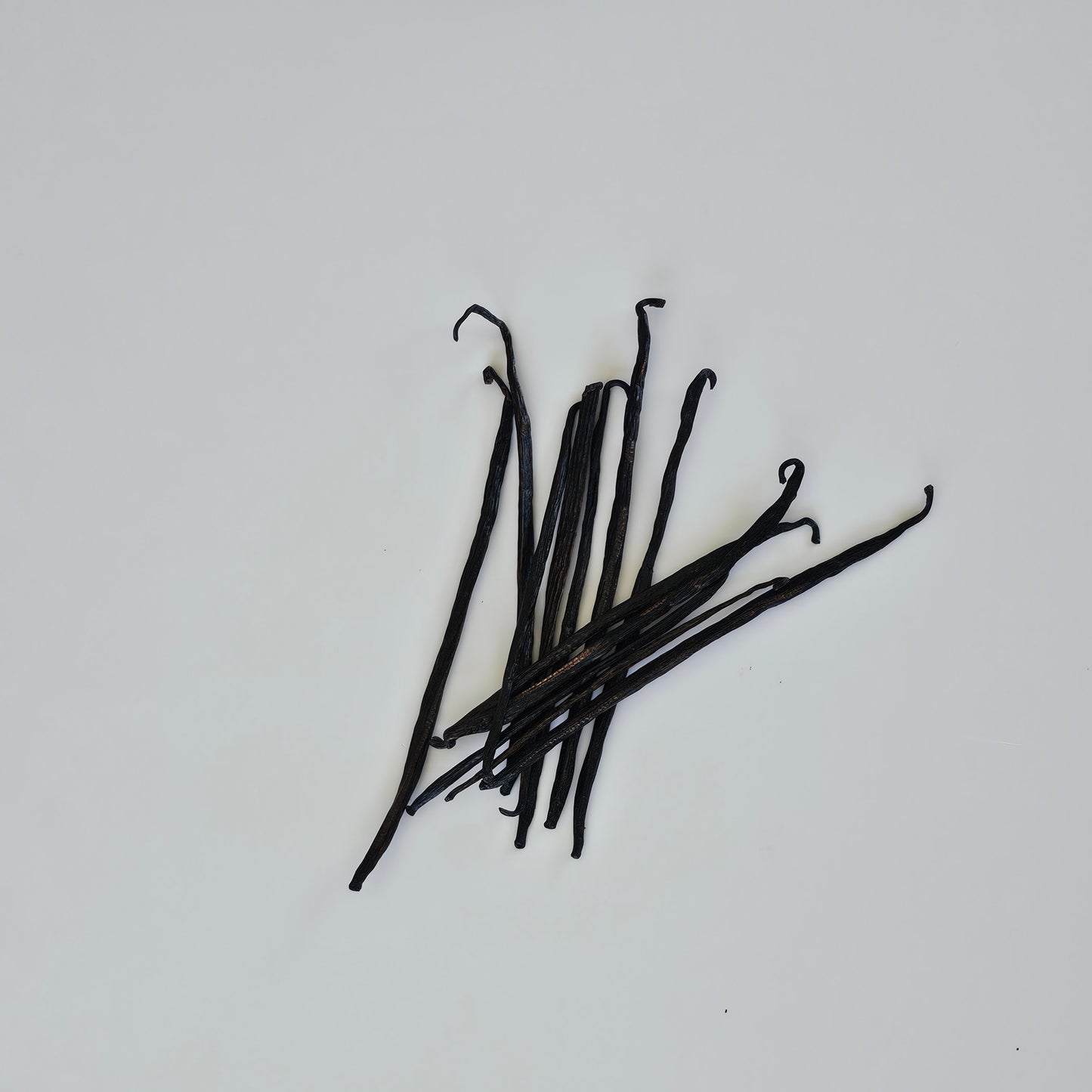 Mexico - Oaxaca V. planifolia Grade B Vanilla Beans