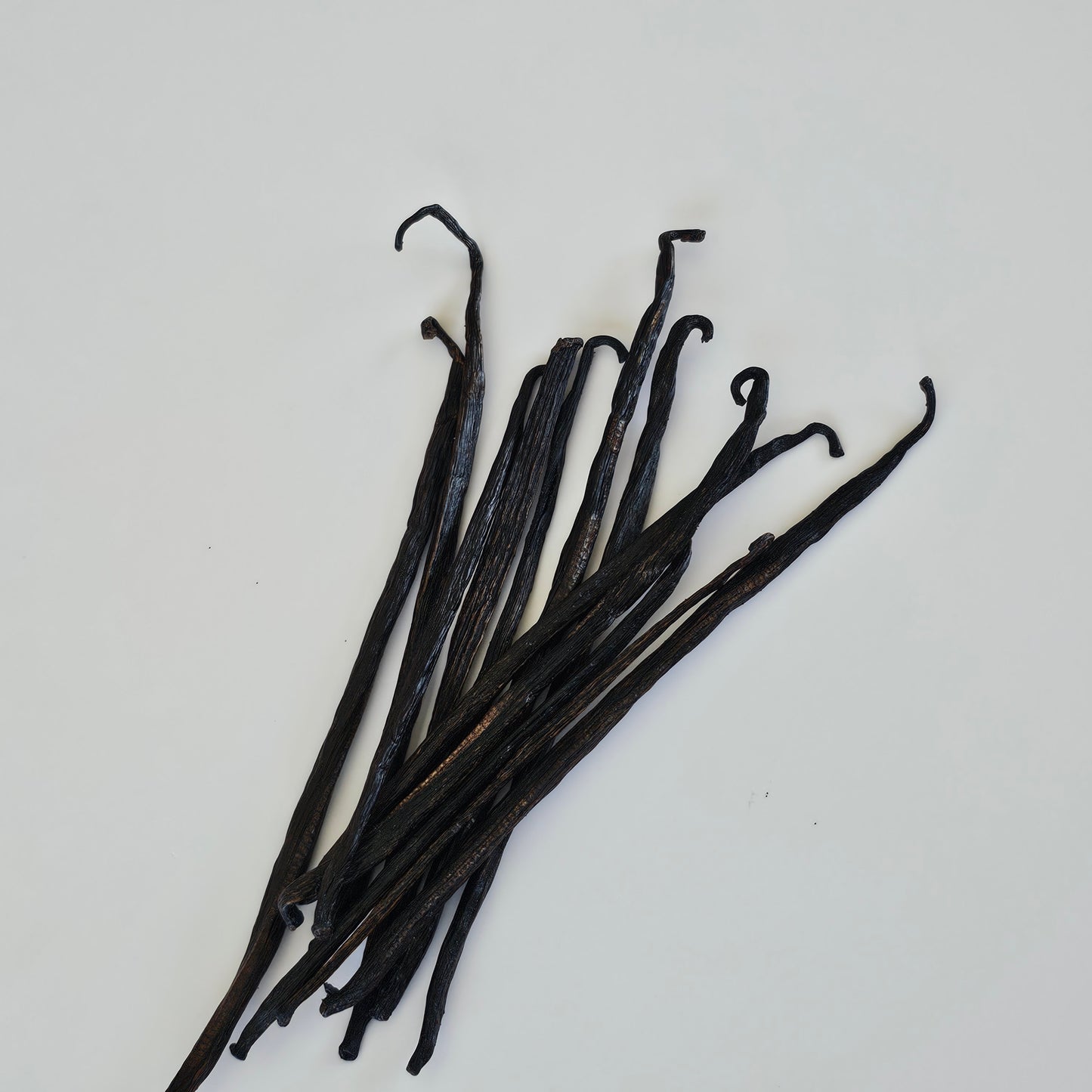 Mexico - Oaxaca V. planifolia Grade B Vanilla Beans