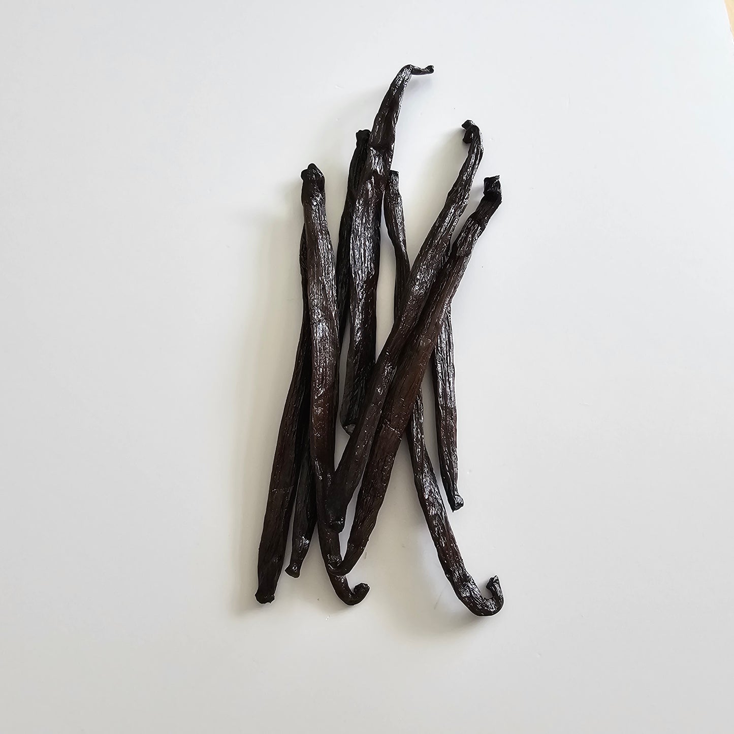 Venezuela V. planifolia Vanilla Beans