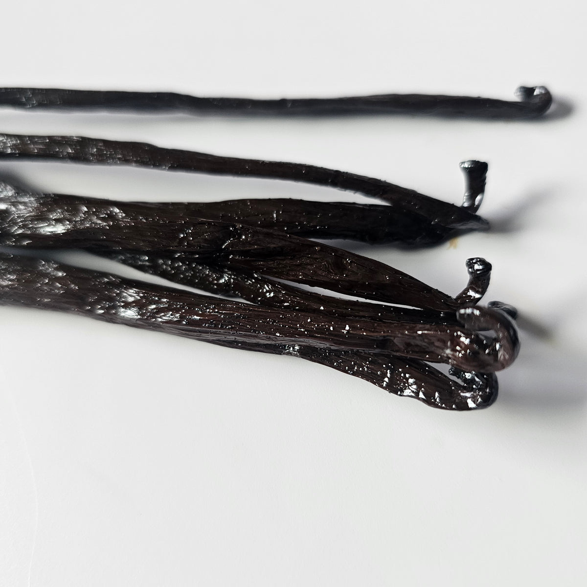 Panama V. planifolia Vanilla Beans
