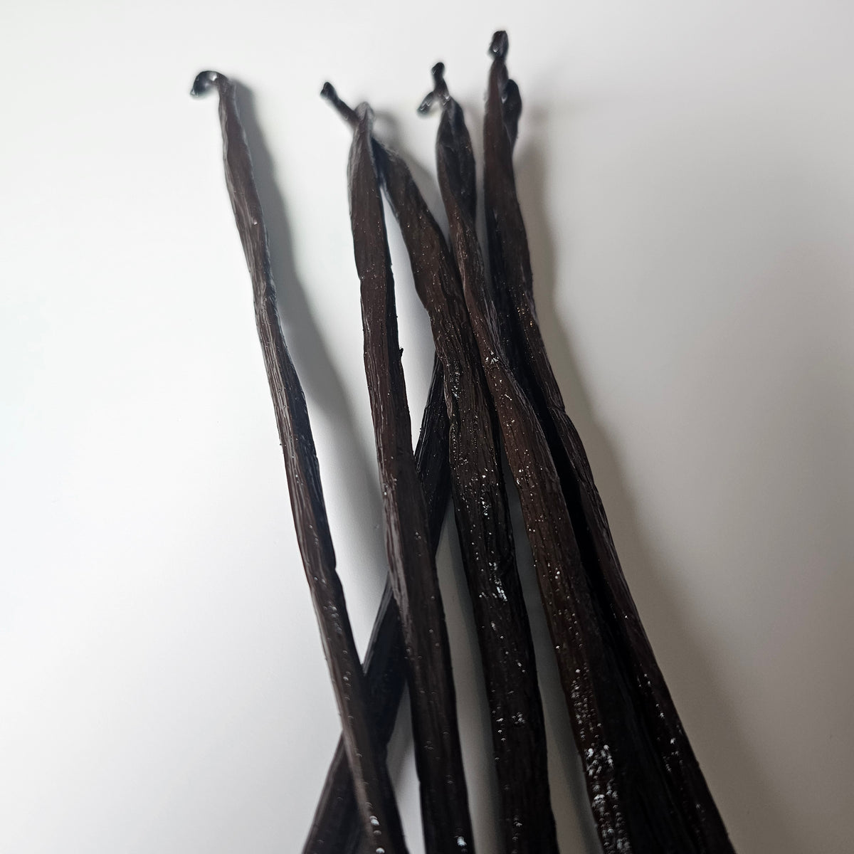 Panama V. planifolia Vanilla Beans