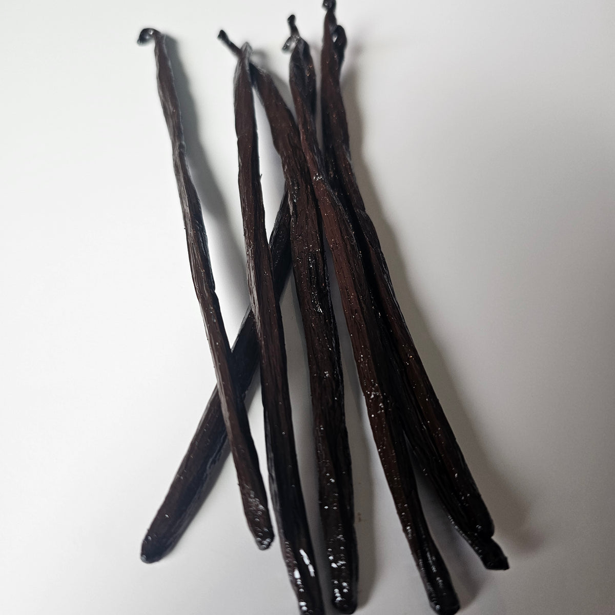 Panama V. planifolia Vanilla Beans