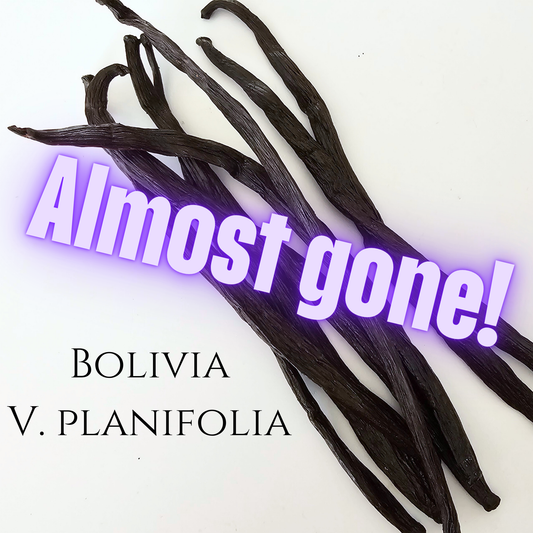 Bolivia V. planifolia Vanilla Beans