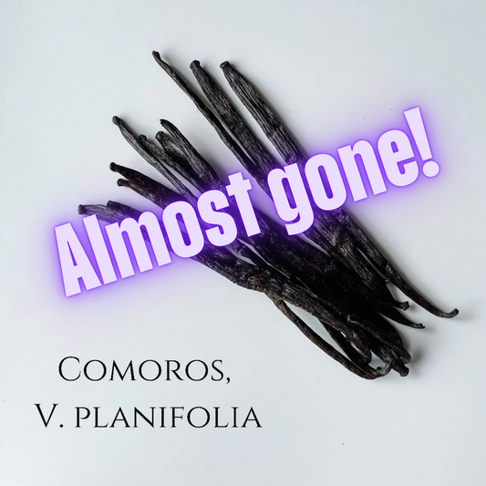 Comoros V. planifolia Vanilla Beans