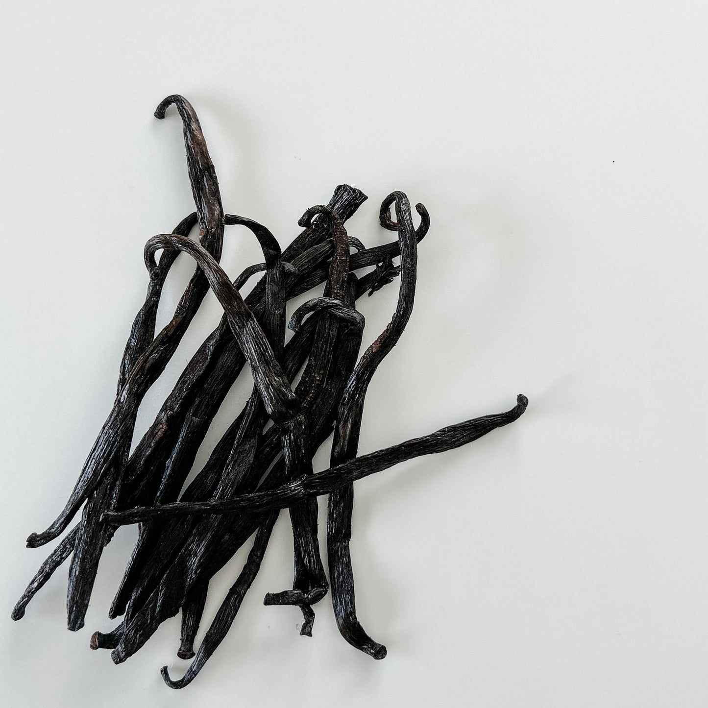 Vanilla Beans from Kenya