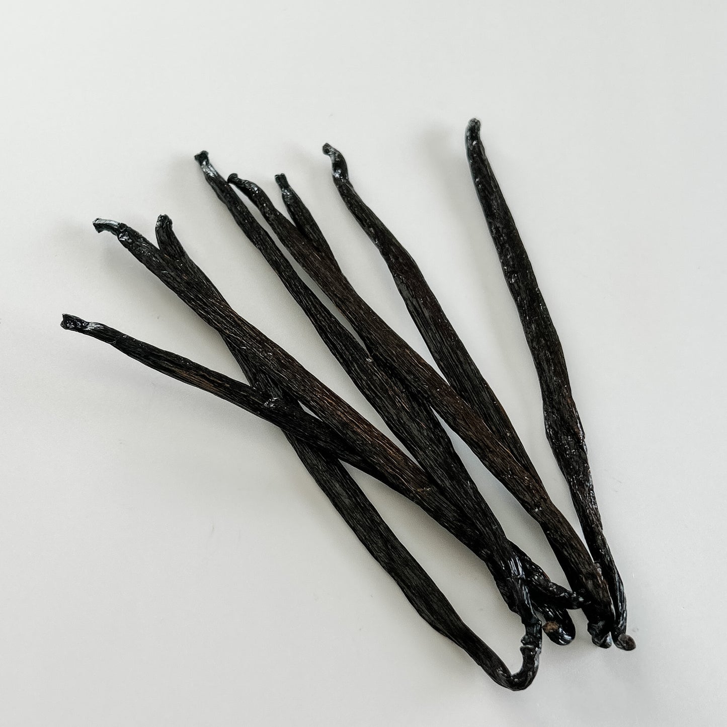 Honduras V. tahitensis Vanilla beans