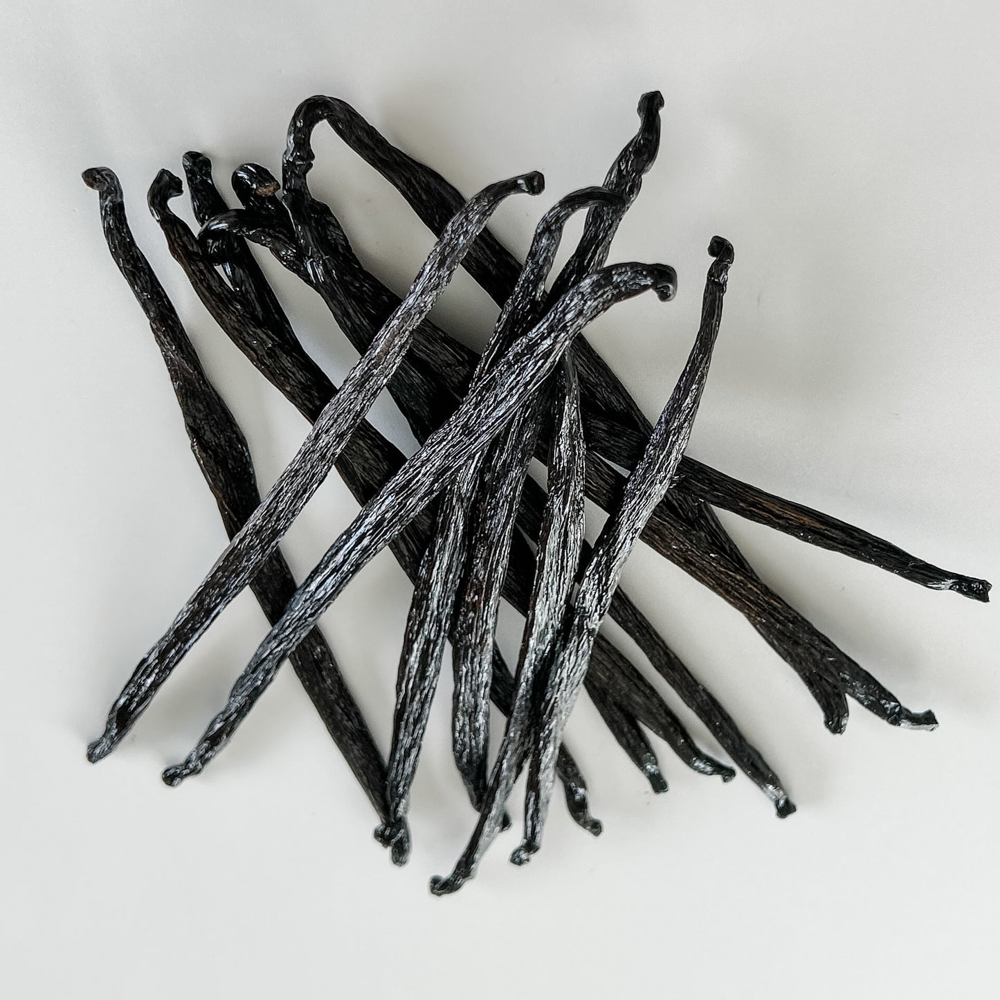 Honduras V. tahitensis Vanilla beans