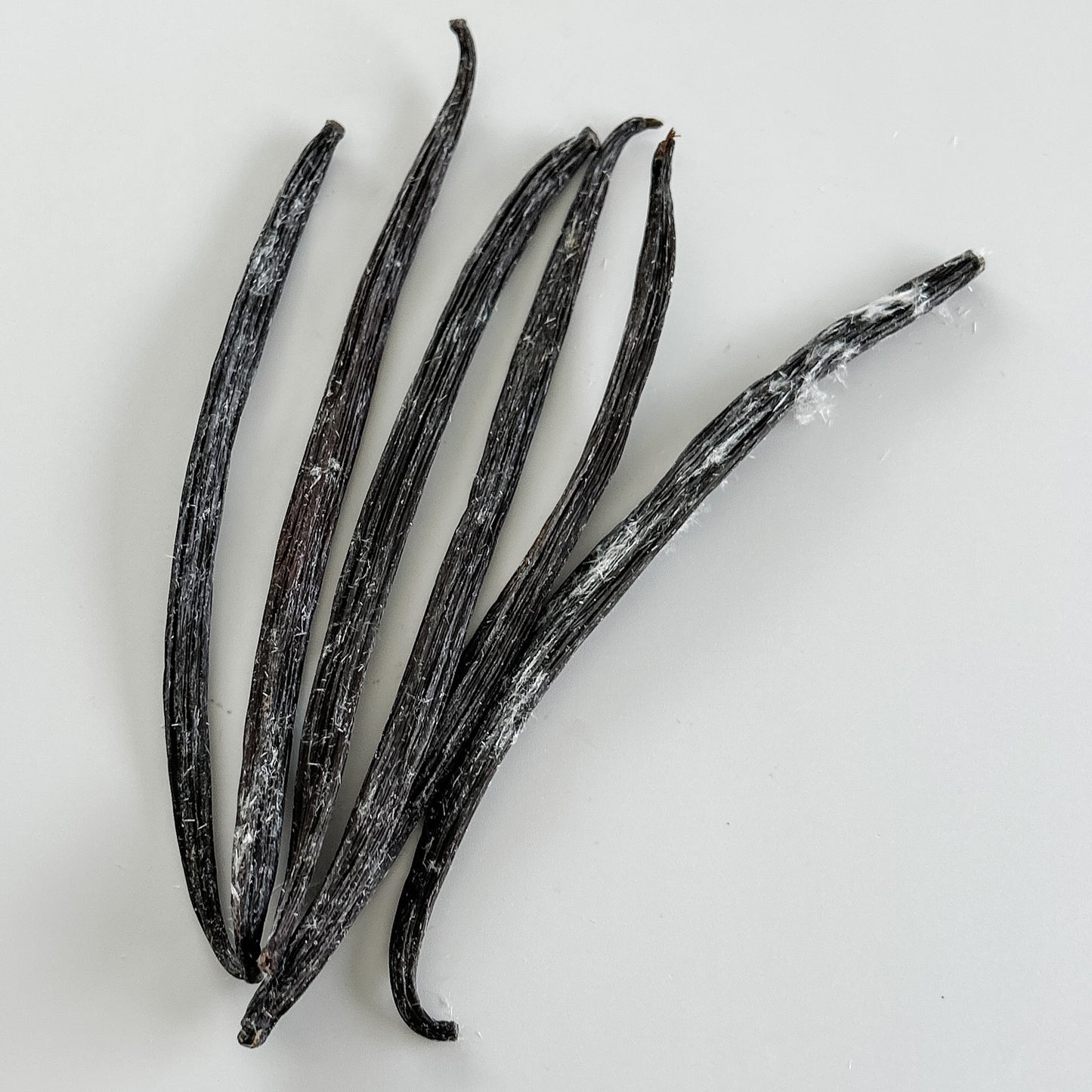 Israel cured, Uganda grown V. planifolia, from Vanilla Vida