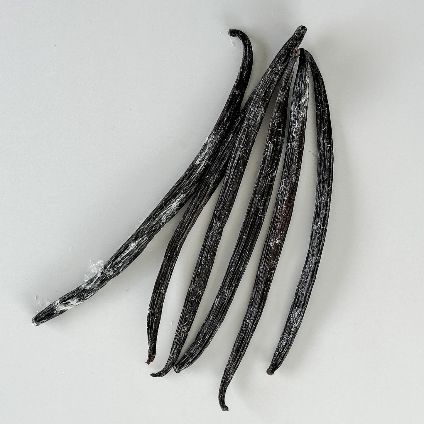 Israel cured, Uganda grown V. planifolia, from Vanilla Vida