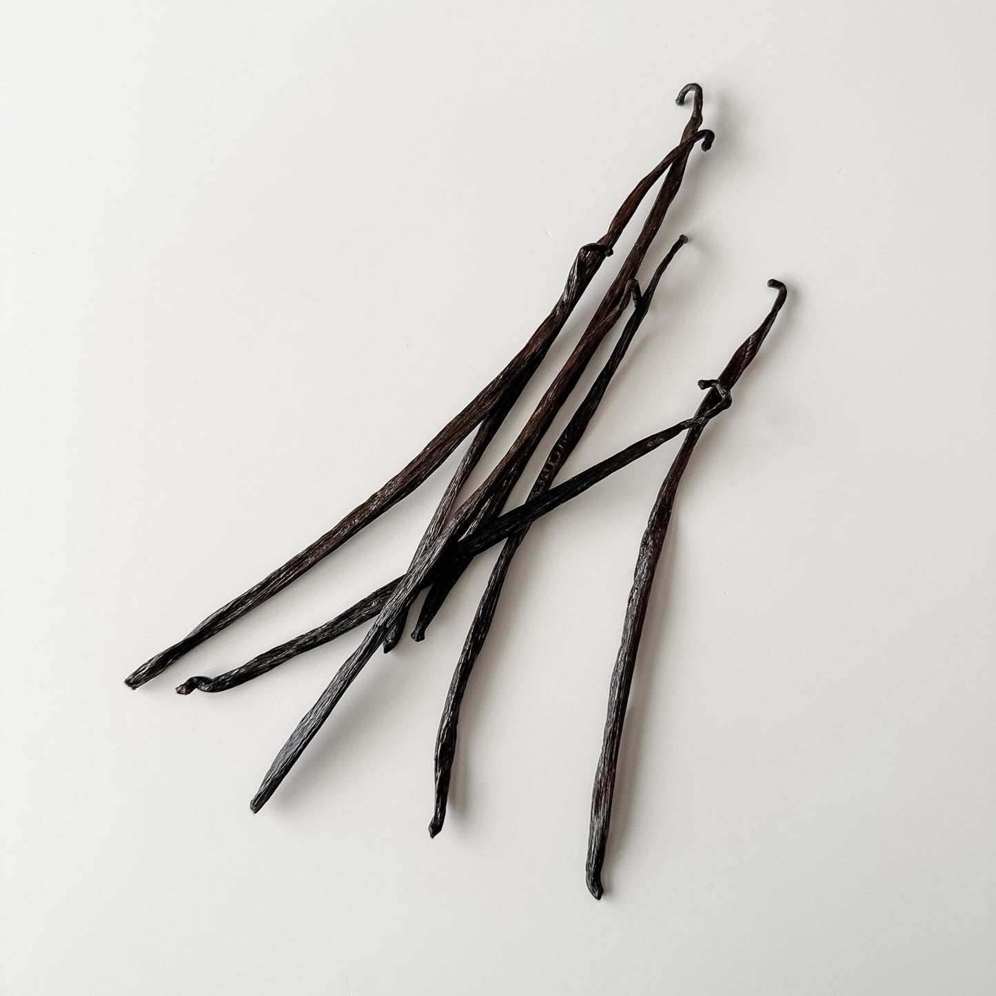 West Papua, Indonesia, V. planifolia Vanilla Beans