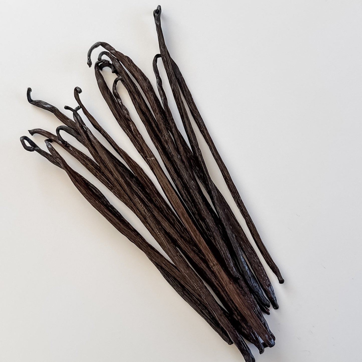 West Papua, Indonesia, V. planifolia Vanilla Beans