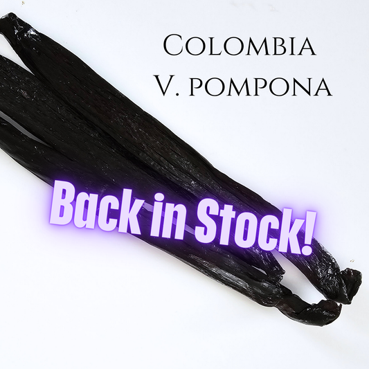 Colombia V. pompona Vanilla Beans