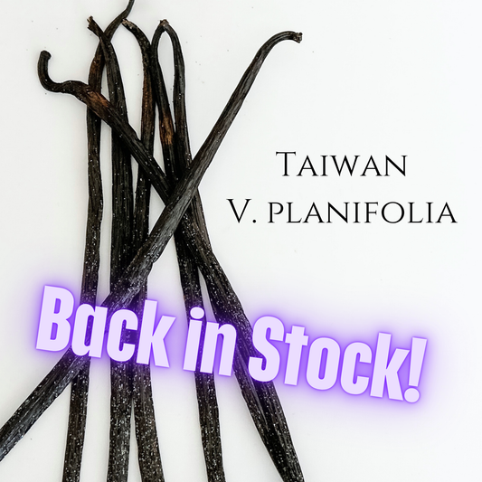Taiwan V. planifolia Vanilla Beans