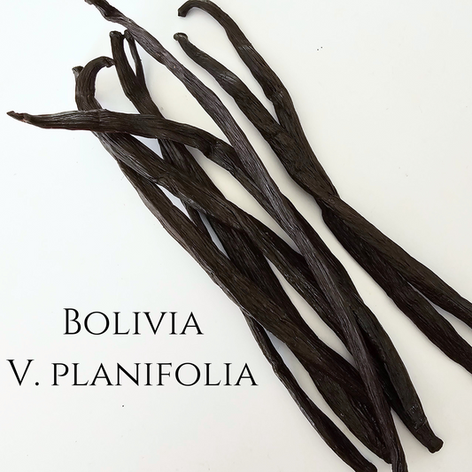 Bolivia V. planifolia Vanilla Beans