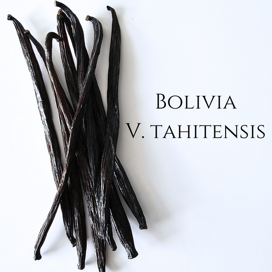 Bolivia V. tahitensis vanilla beans