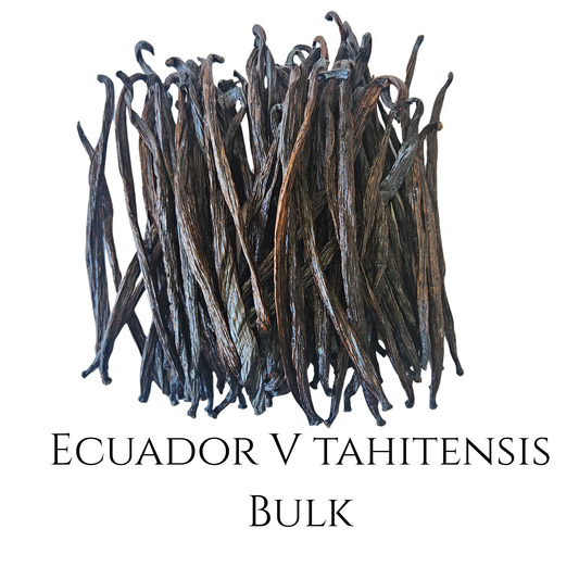 Bulk Ecuador V Tahitensis