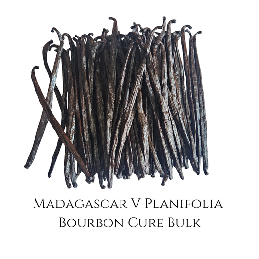 Bulk Madagascar Bourbon Cure V. planifolia