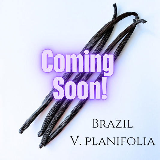 Brazil V. planifolia Vanilla Beans
