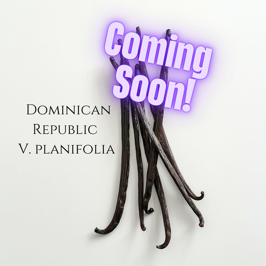 Dominican Republic V. planifolia Vanilla Beans