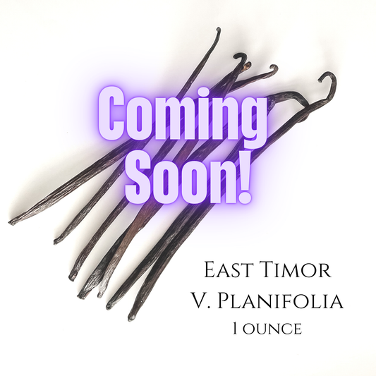 East Timor V. planifolia Vanilla Beans