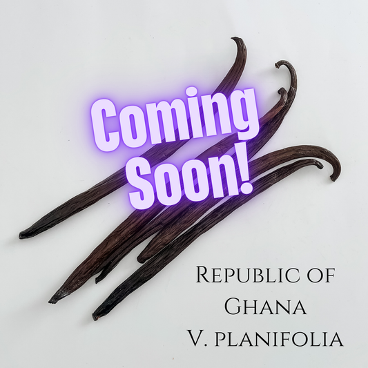 Republic of Ghana V. planifolia Vanilla Beans