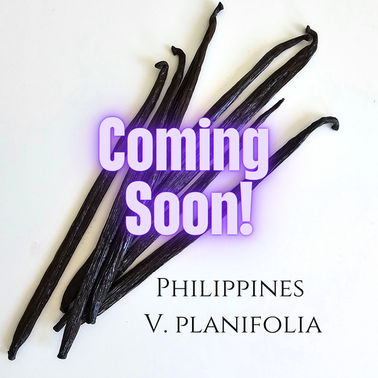 Philippines V. planifolia Vanilla Beans