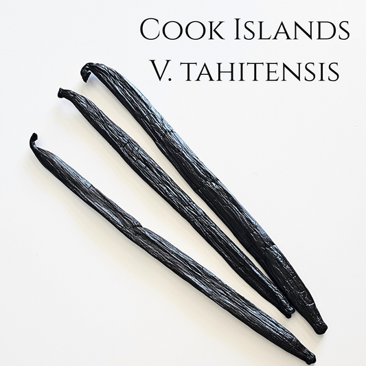 Cook Islands V. tahitensis Vanilla Beans