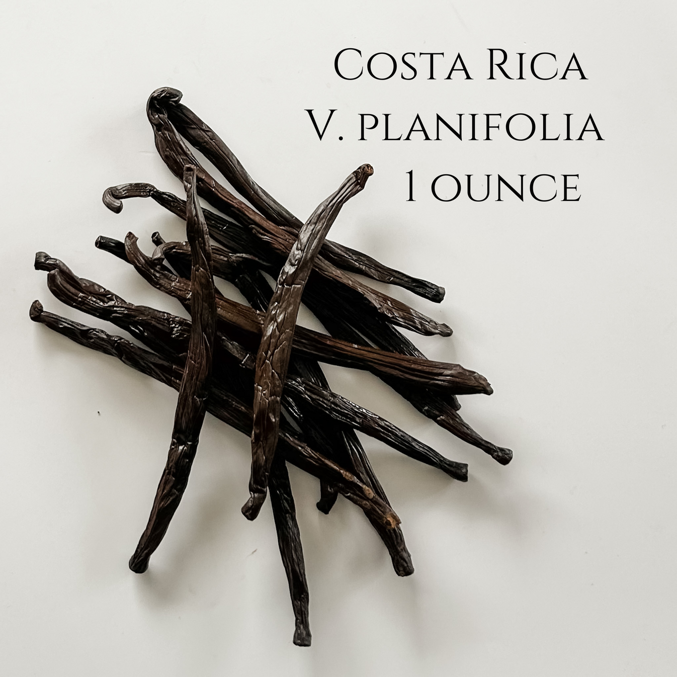 Costa Rica V. planifolia Vanilla Beans IndriVanilla