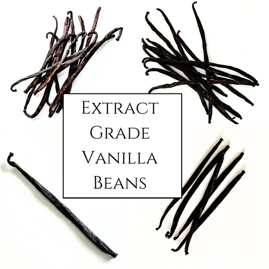 Extract Grade Vanilla Beans