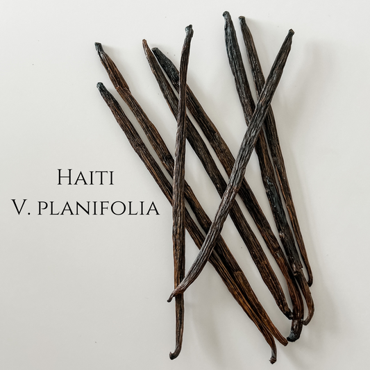 Haiti V. planifolia Vanilla Beans