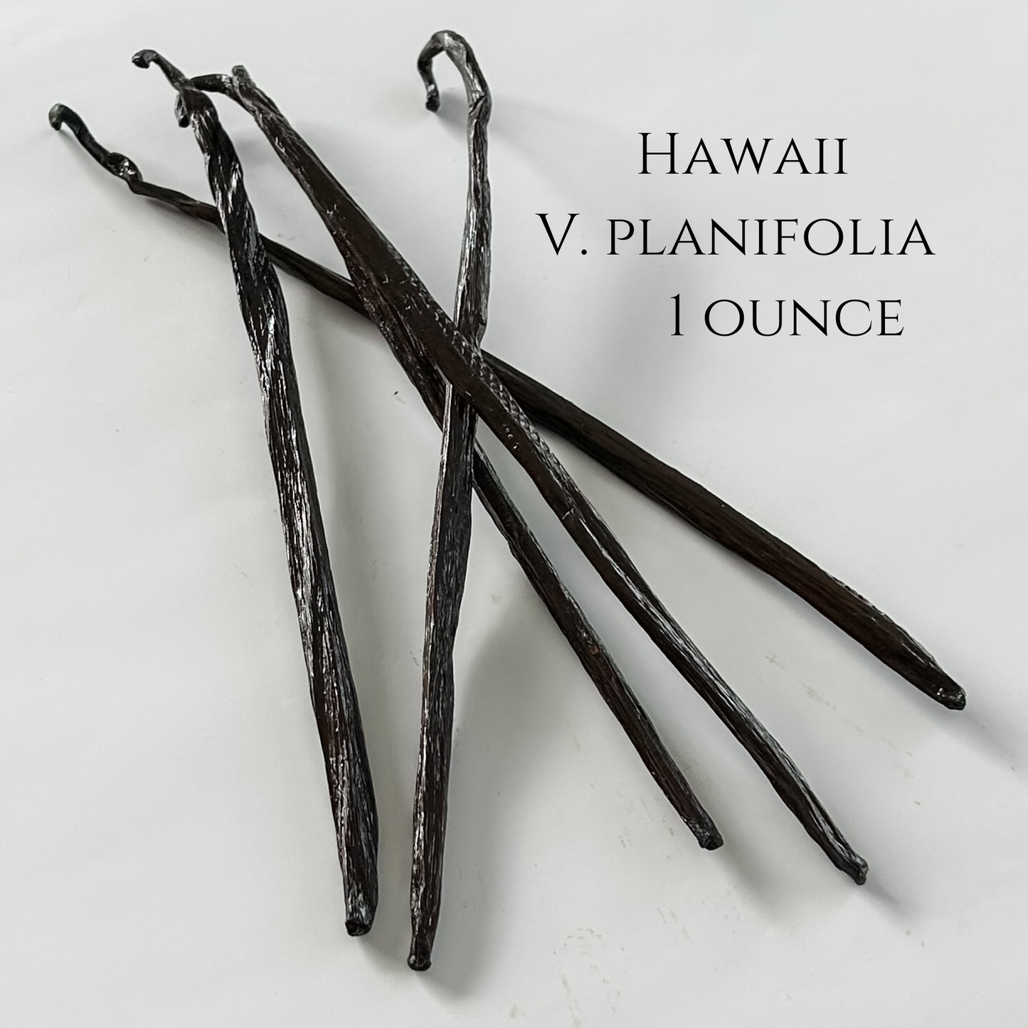 Hawaii V. planifolia Vanilla Beans