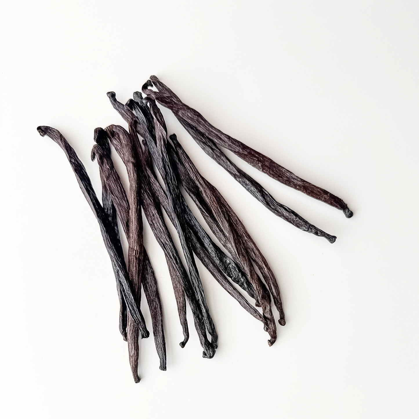 Honduras V. planifolia Vanilla Extract Grade Beans