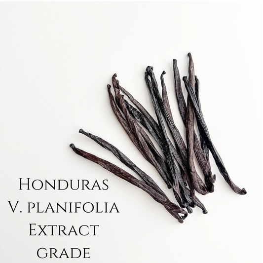 Honduras V. planifolia Vanilla Extract Grade Beans