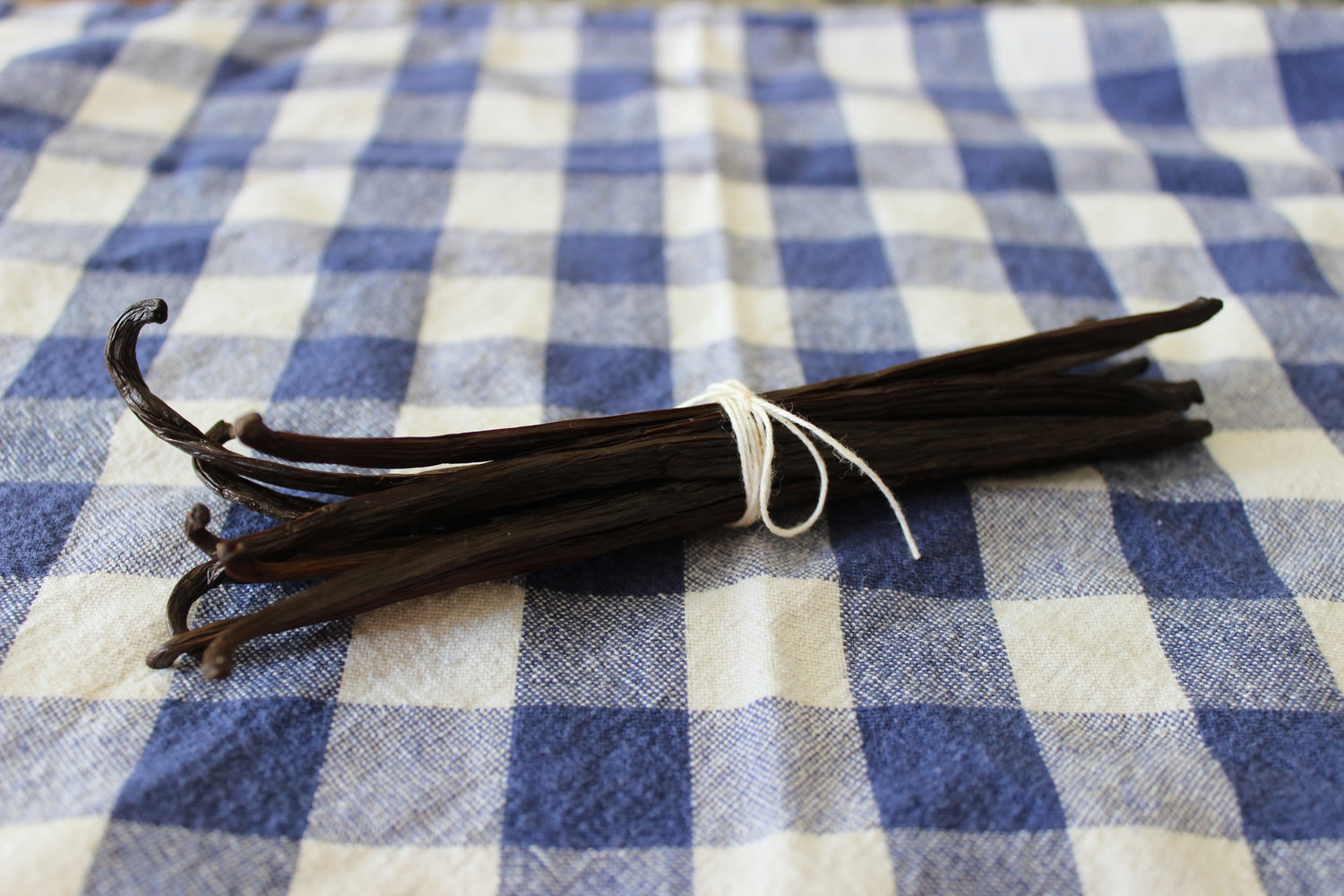 Bundle of Vanilla Beans tied together with string on blue and white checkered tablecloth.