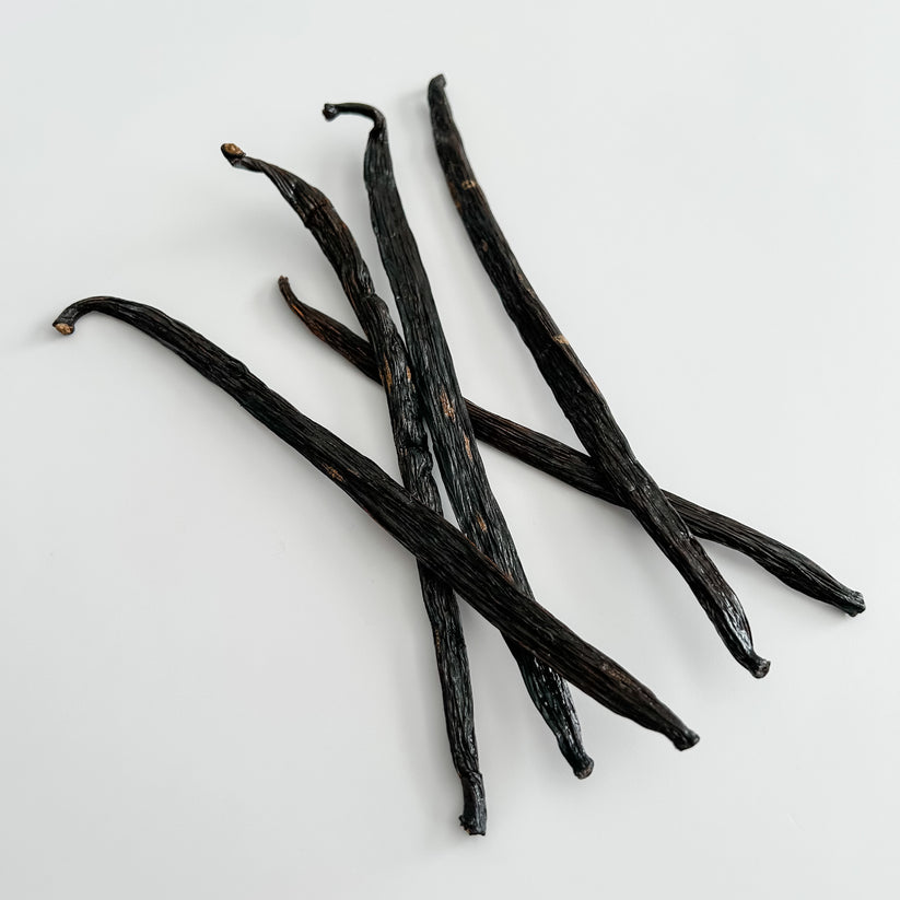 Costa Rica V. costaricensis Vanilla Beans IndriVanilla