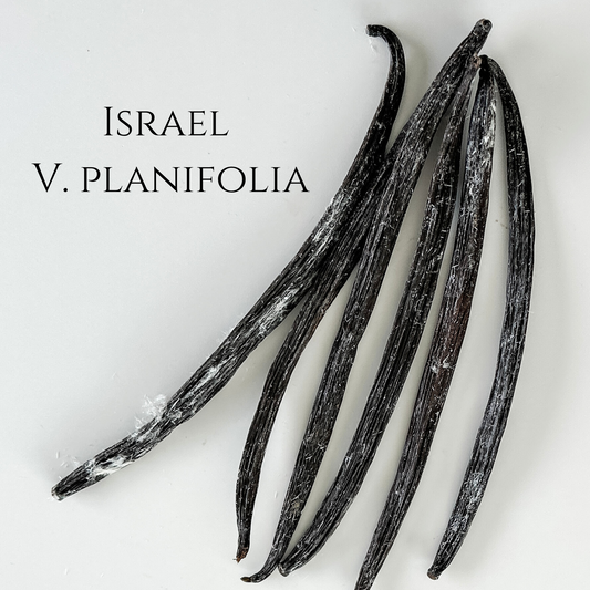 Israel cured, Uganda grown V. planifolia, from Vanilla Vida
