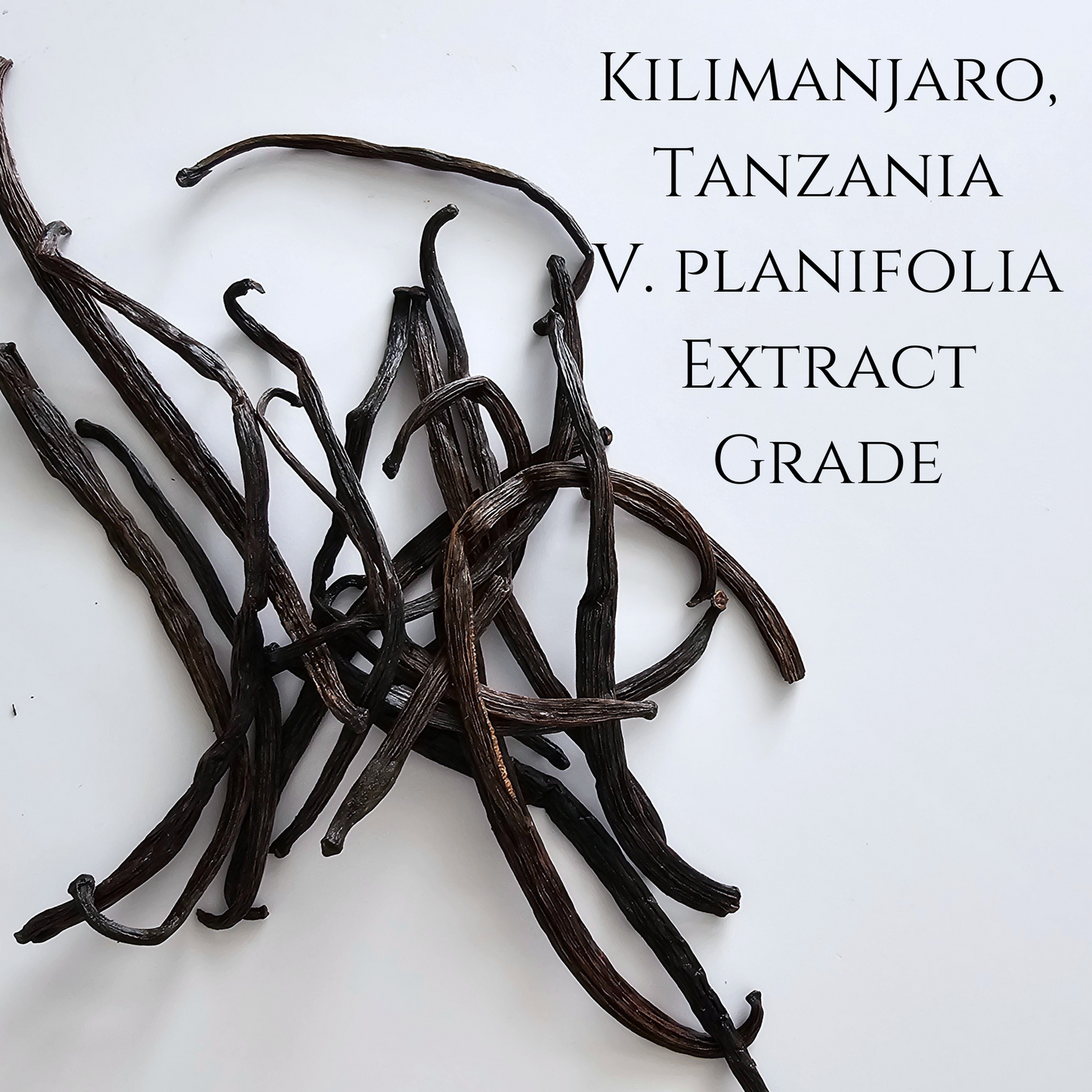 Kilimanjaro, Tanzania V. planifolia Extract Grade Vanilla beans